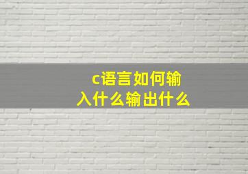 c语言如何输入什么输出什么