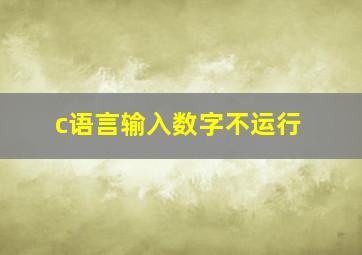 c语言输入数字不运行