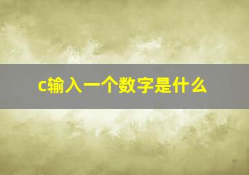 c输入一个数字是什么