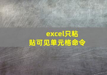 excel只粘贴可见单元格命令