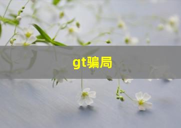 gt骗局