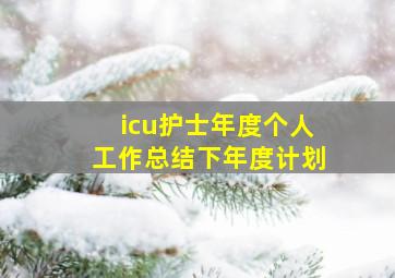 icu护士年度个人工作总结下年度计划