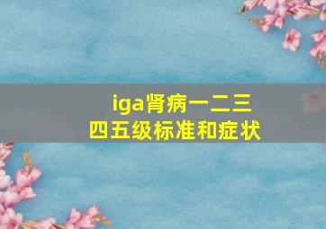 iga肾病一二三四五级标准和症状