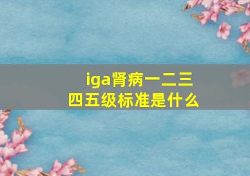 iga肾病一二三四五级标准是什么