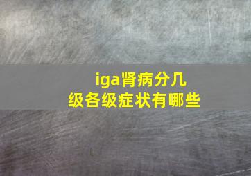 iga肾病分几级各级症状有哪些