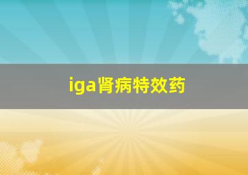 iga肾病特效药