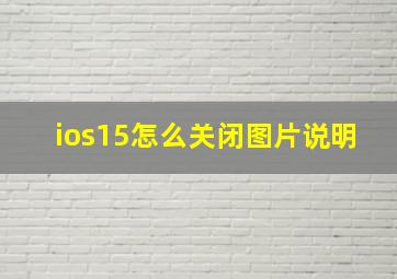 ios15怎么关闭图片说明