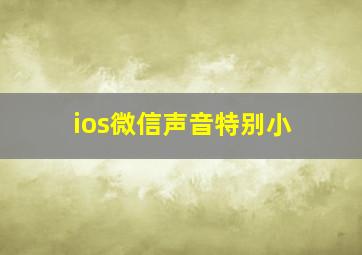 ios微信声音特别小