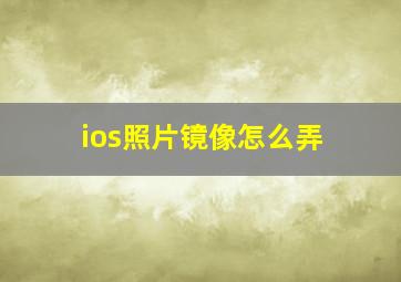 ios照片镜像怎么弄