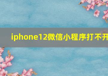 iphone12微信小程序打不开