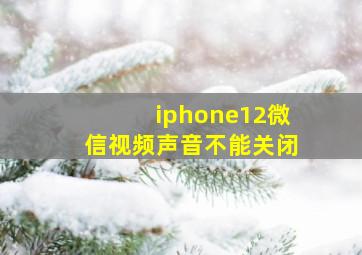 iphone12微信视频声音不能关闭