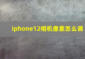 iphone12相机像素怎么调