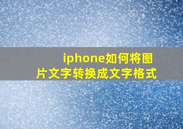 iphone如何将图片文字转换成文字格式