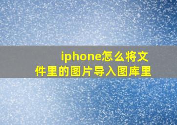 iphone怎么将文件里的图片导入图库里