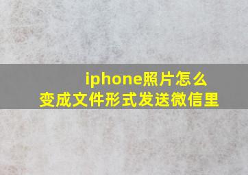 iphone照片怎么变成文件形式发送微信里