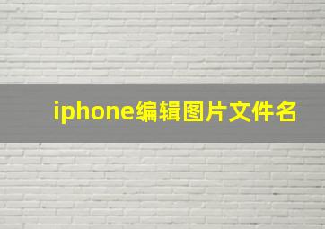 iphone编辑图片文件名