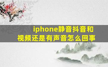 iphone静音抖音和视频还是有声音怎么回事