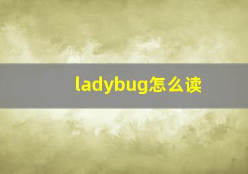 ladybug怎么读