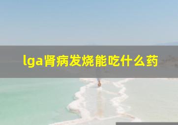 lga肾病发烧能吃什么药