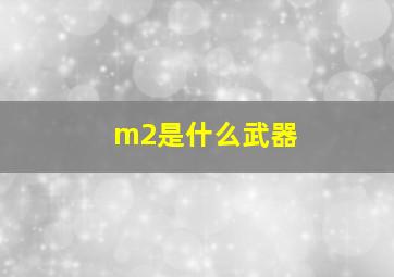 m2是什么武器