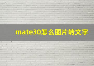 mate30怎么图片转文字