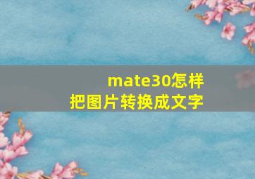 mate30怎样把图片转换成文字