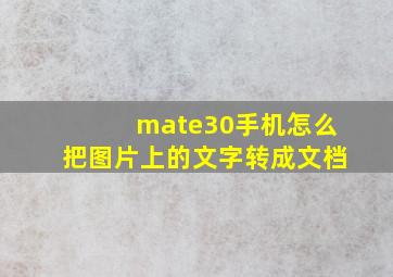 mate30手机怎么把图片上的文字转成文档