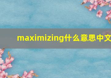 maximizing什么意思中文