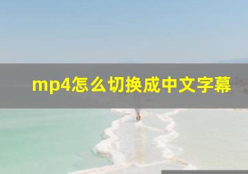 mp4怎么切换成中文字幕