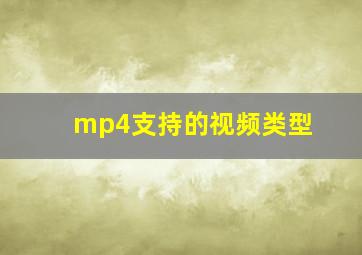 mp4支持的视频类型