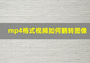 mp4格式视频如何翻转图像