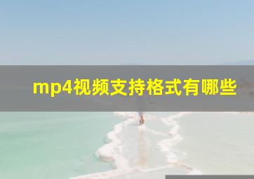 mp4视频支持格式有哪些