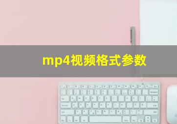 mp4视频格式参数