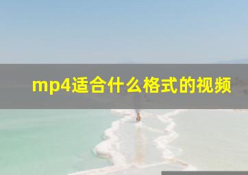 mp4适合什么格式的视频