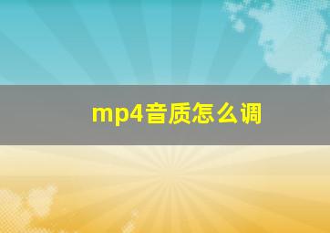 mp4音质怎么调