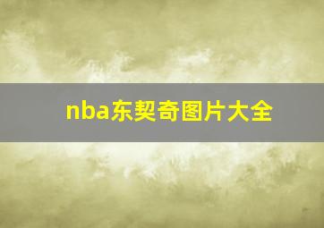 nba东契奇图片大全