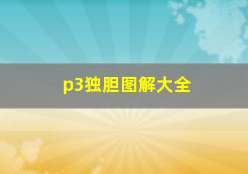 p3独胆图解大全