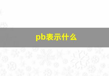 pb表示什么