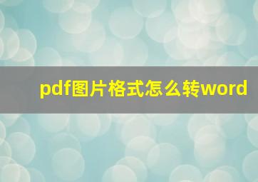 pdf图片格式怎么转word