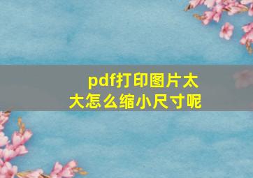 pdf打印图片太大怎么缩小尺寸呢