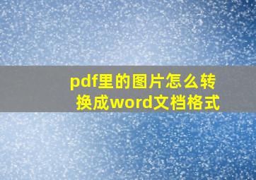 pdf里的图片怎么转换成word文档格式