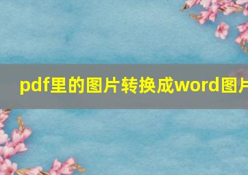 pdf里的图片转换成word图片