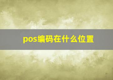 pos编码在什么位置