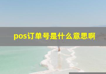 pos订单号是什么意思啊