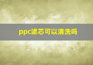 ppc滤芯可以清洗吗