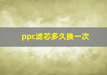 ppc滤芯多久换一次