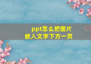 ppt怎么把图片嵌入文字下方一页