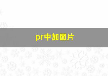 pr中加图片