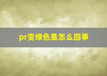 pr变绿色是怎么回事