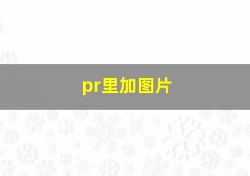 pr里加图片